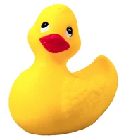 the duck from windows xp